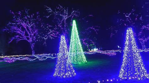 garden of lights turtle bay|New attractions illuminate the 4th year of Redding's Garden of Lights .